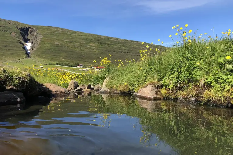 Hotel Heydalur - natural hot spring